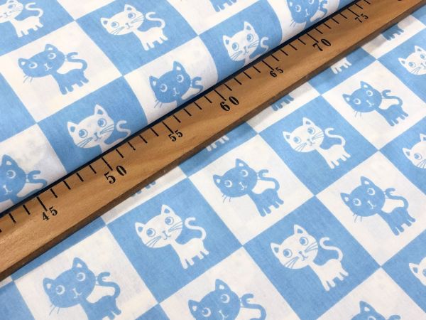 ХЛОПОК Польша Котята голубая и белая клетка